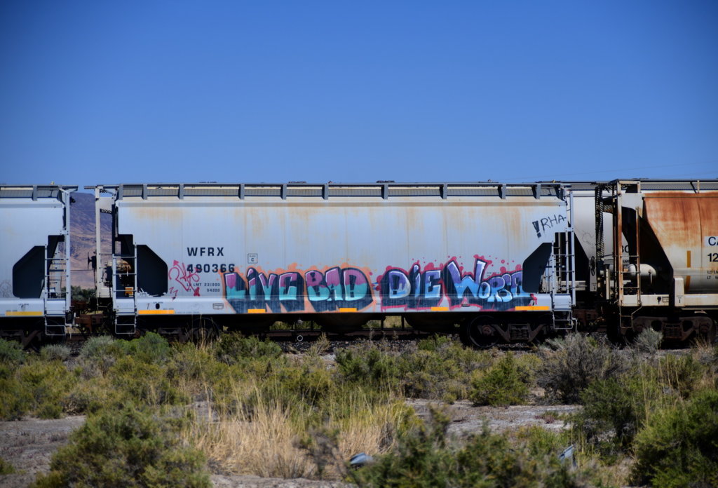 DSC_1046.jpg