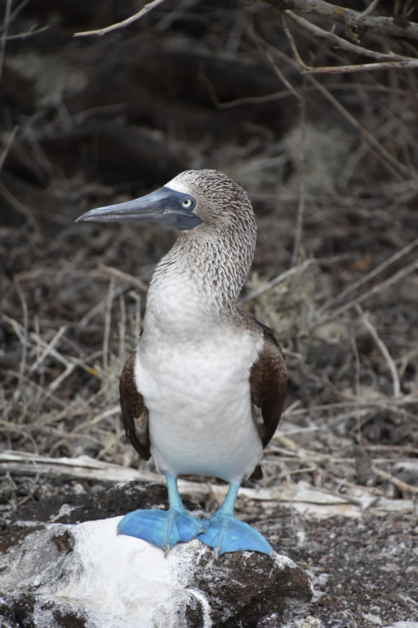 DSC_1059.jpg