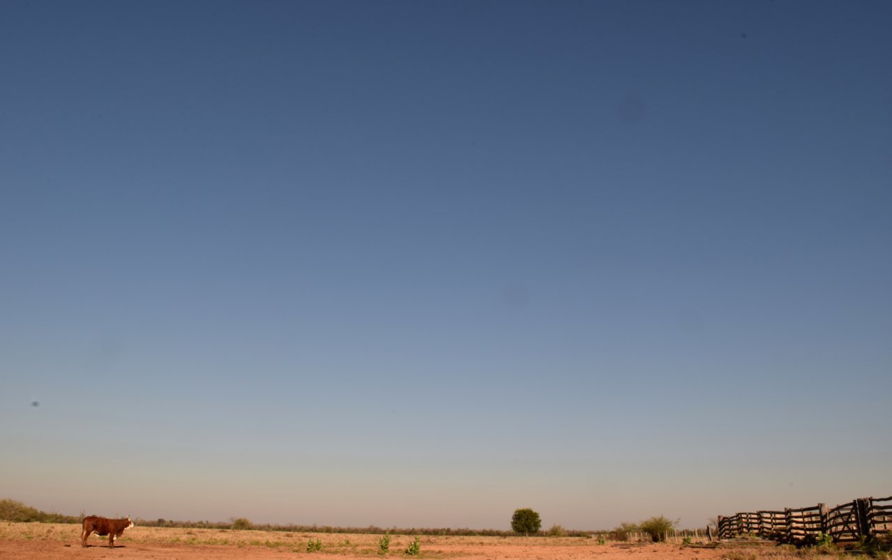 DSC_1075.jpg