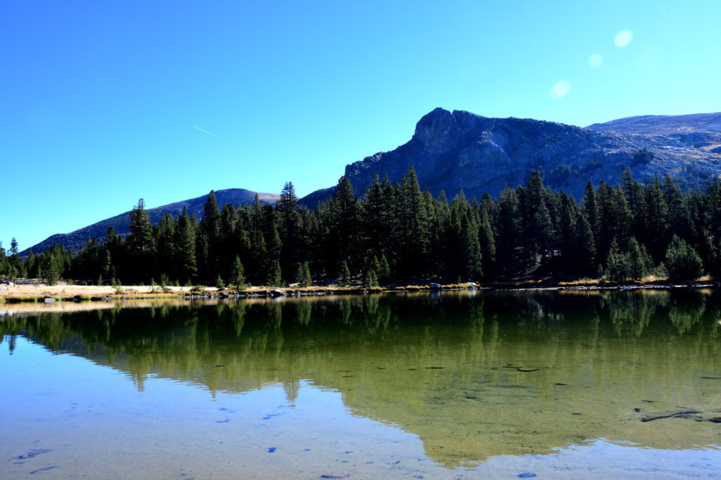 DSC_1081.jpg