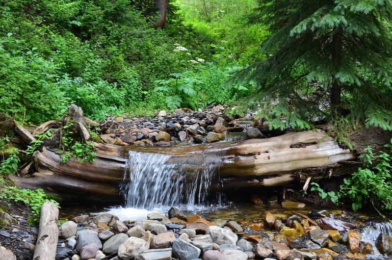 DSC_1097.jpg