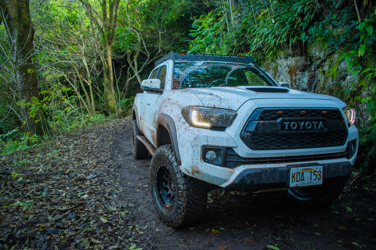 DSC_1101[1].jpg