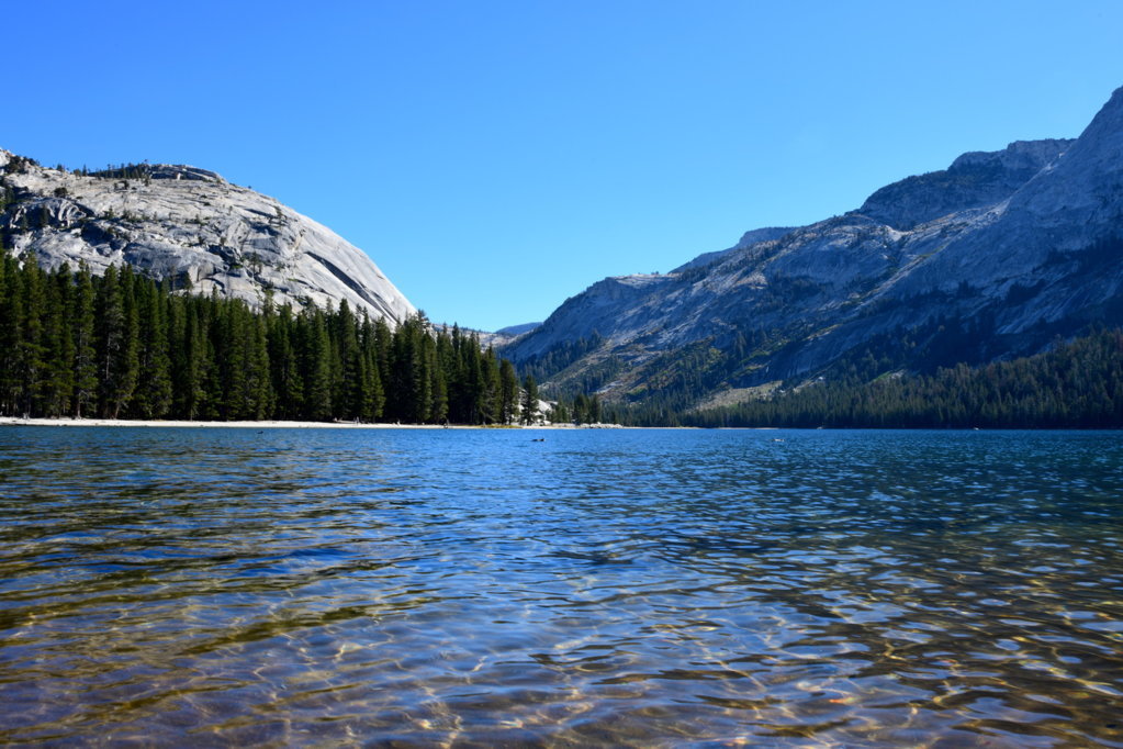 DSC_1113.jpg