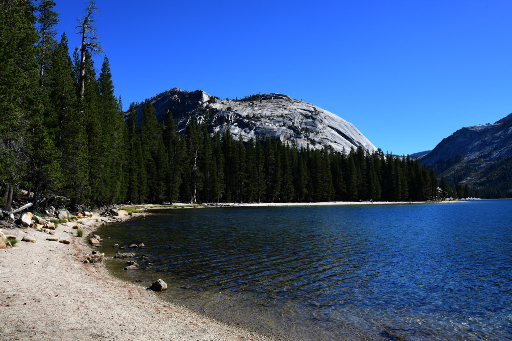 DSC_1117.jpg