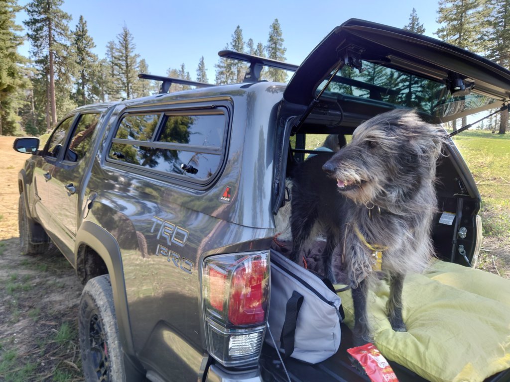 DSC_1154.jpg