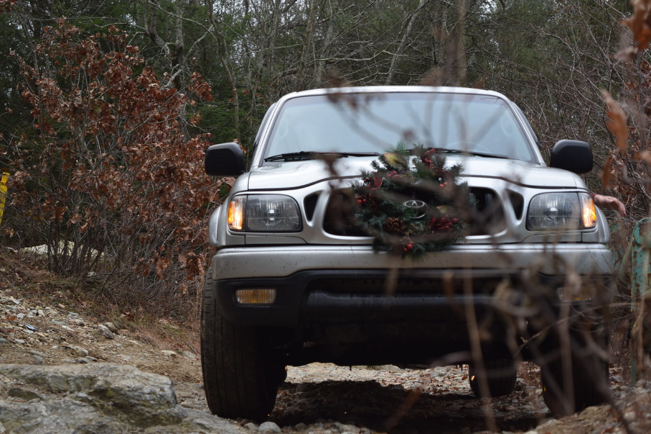 DSC_1175.jpg