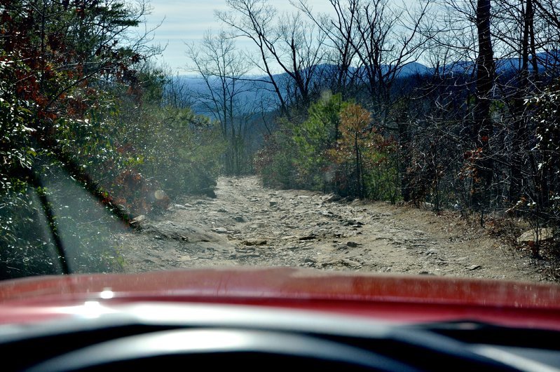 DSC_1181.jpg