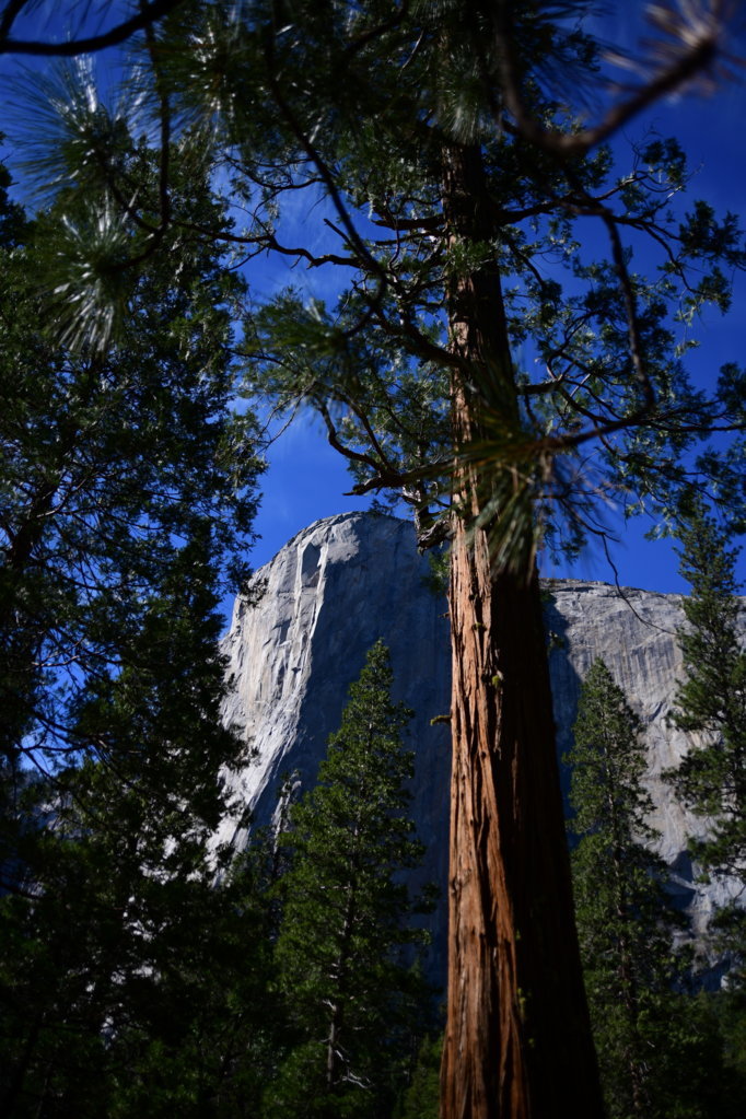 DSC_1189.jpg
