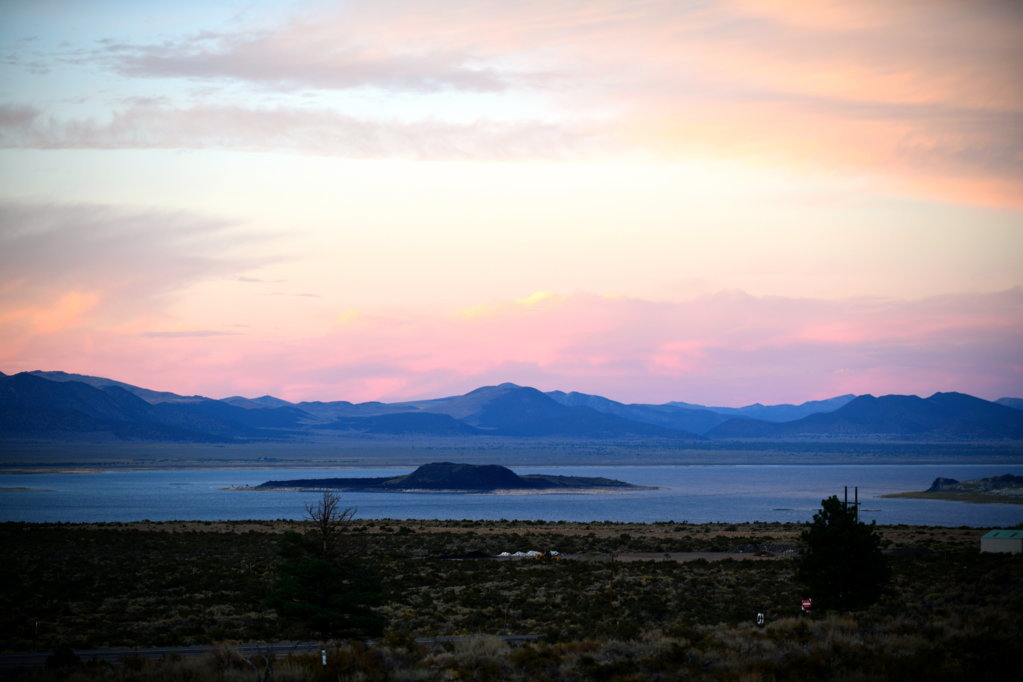 DSC_1247.jpg