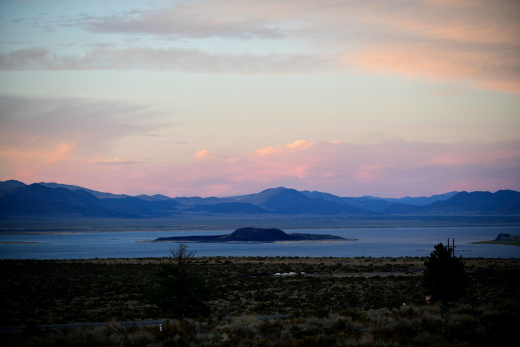 DSC_1250.jpg