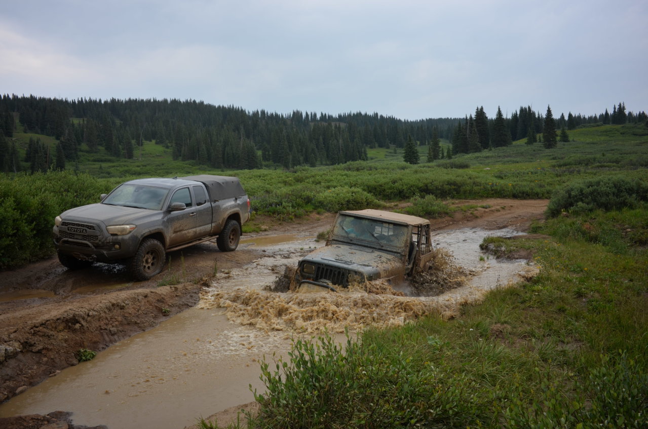 DSC_1364.jpg