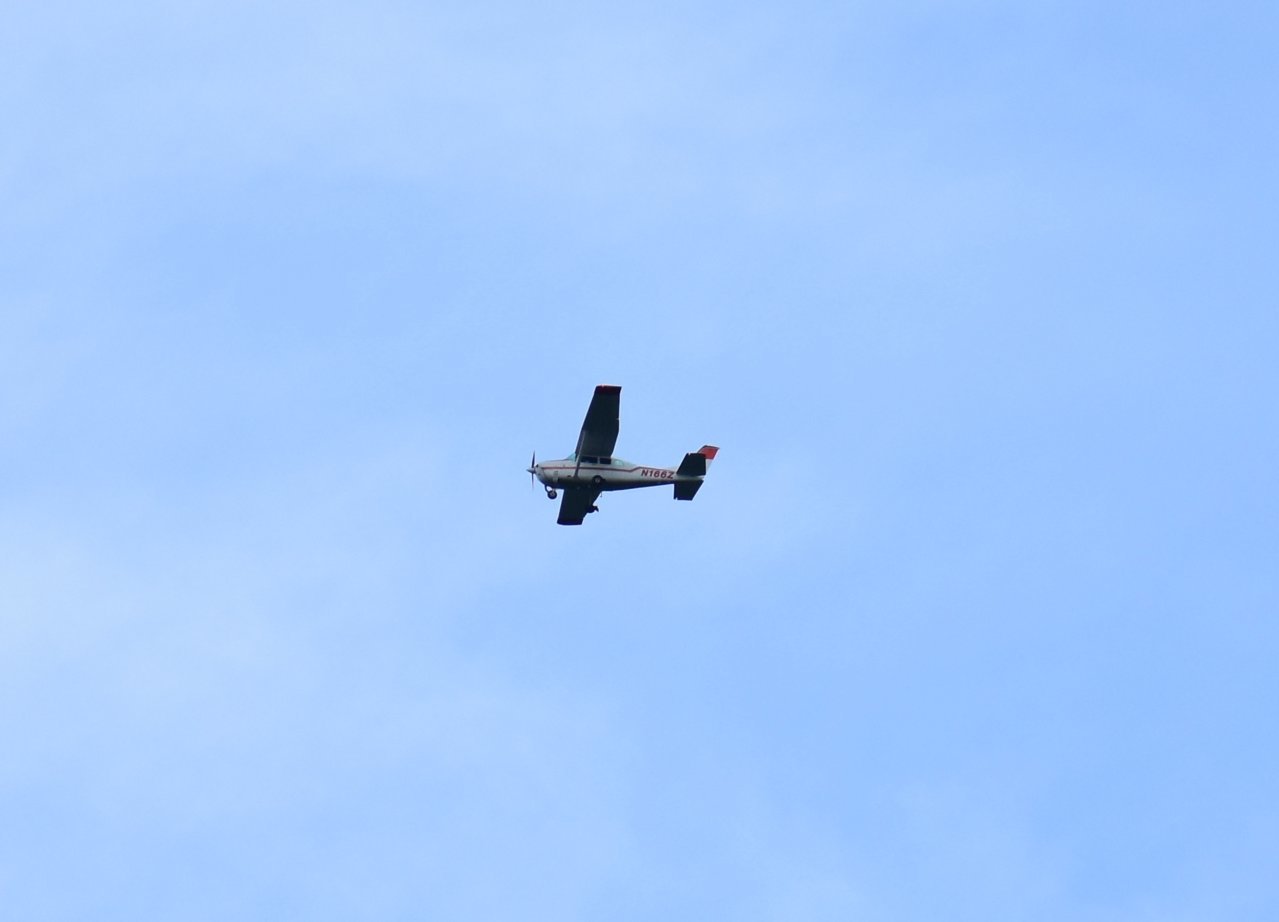 DSC_1419Crop.jpg