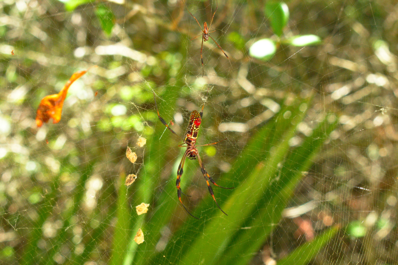 DSC_1420.jpg