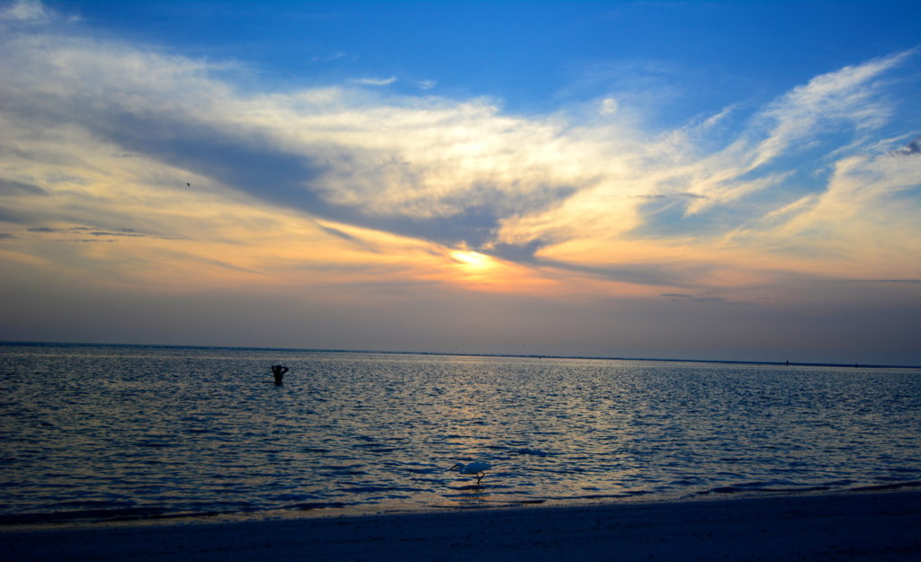DSC_1447.jpg