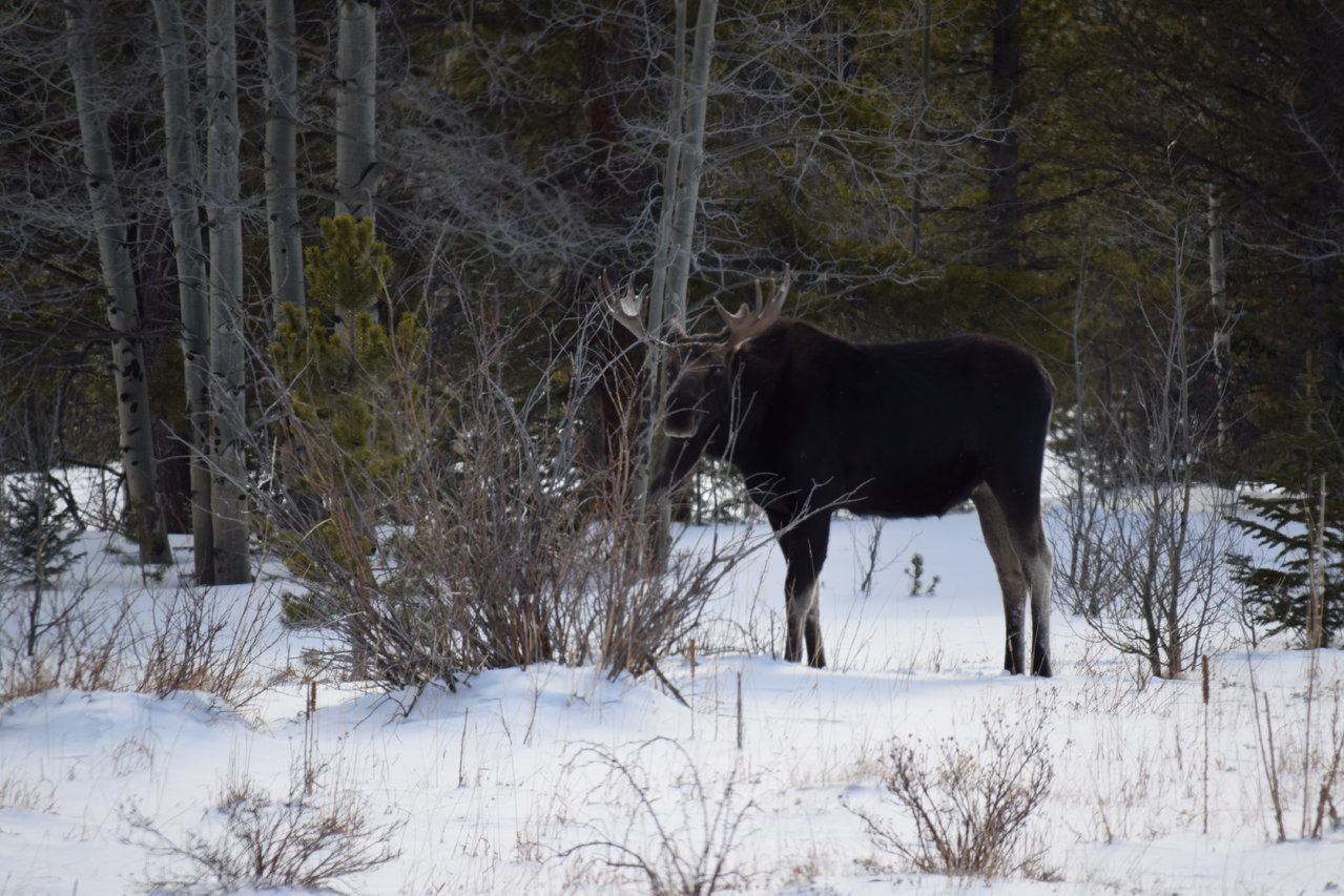 DSC_1452.jpg