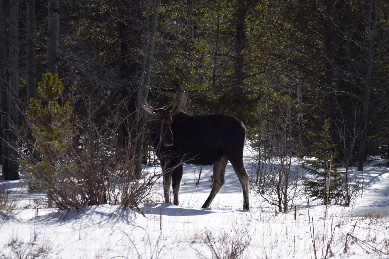 DSC_1455.jpg
