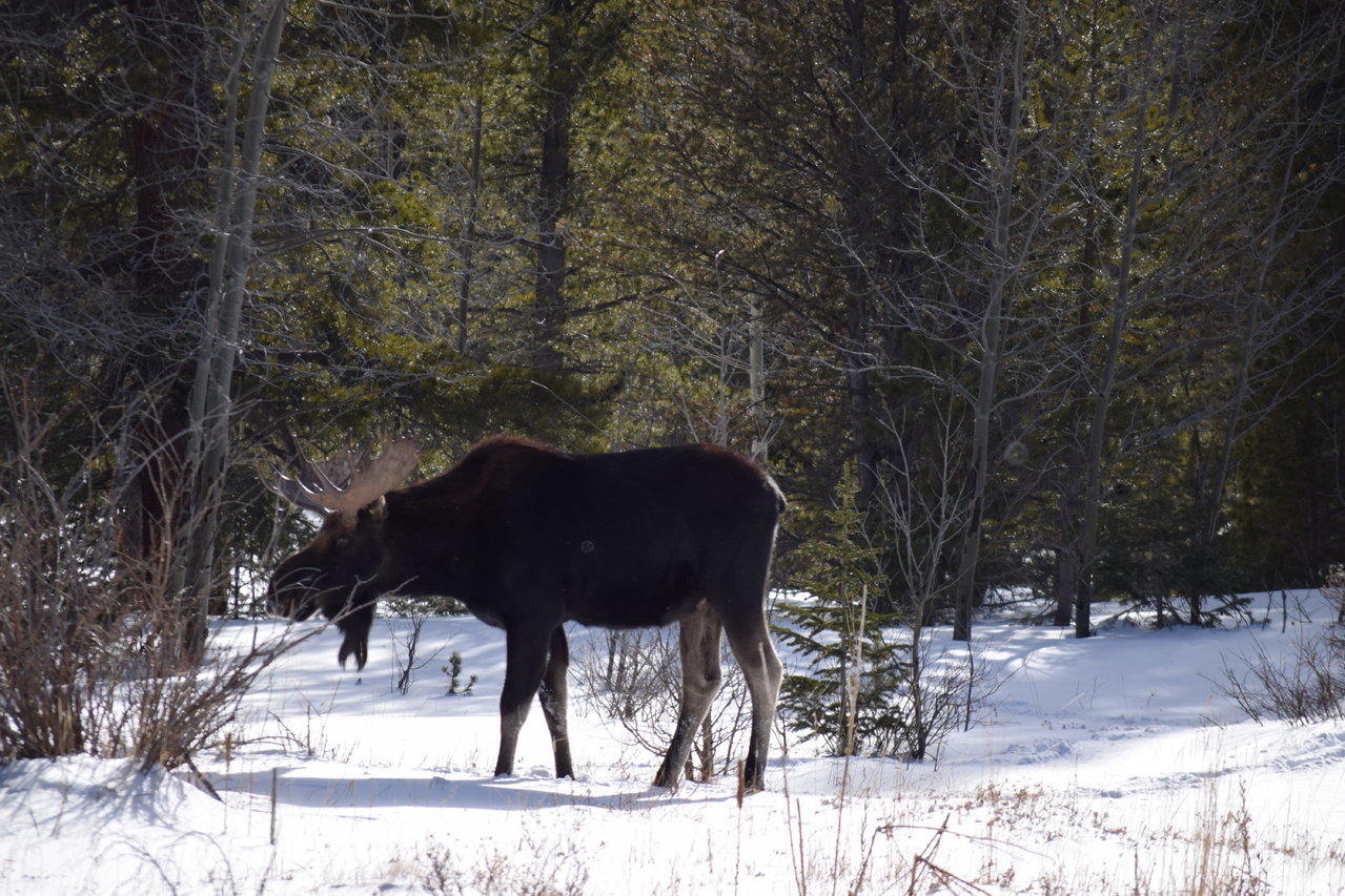 DSC_1462.jpg