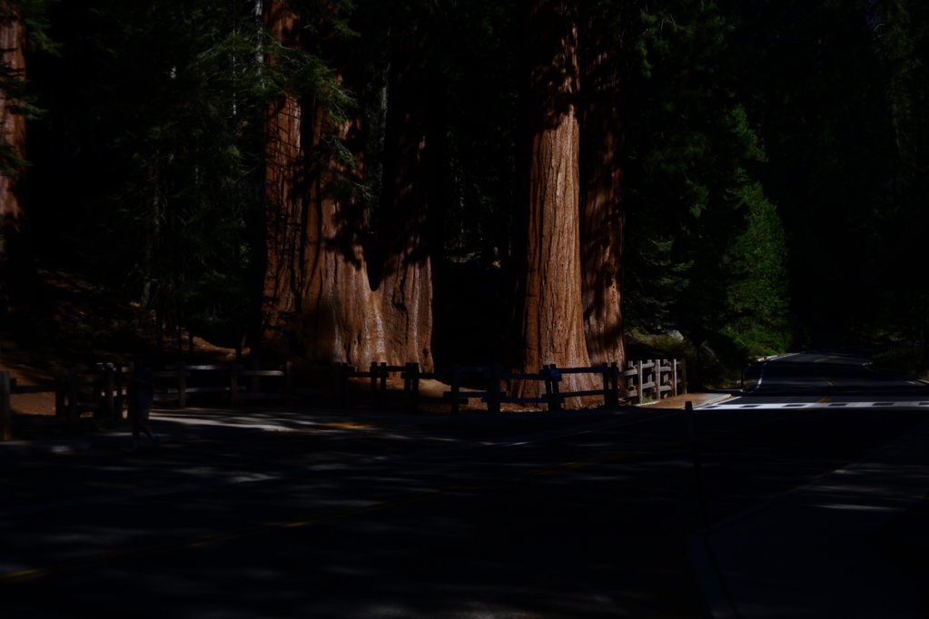 DSC_1520.jpg