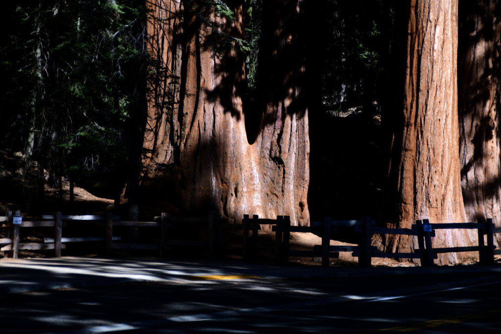 DSC_1522.jpg