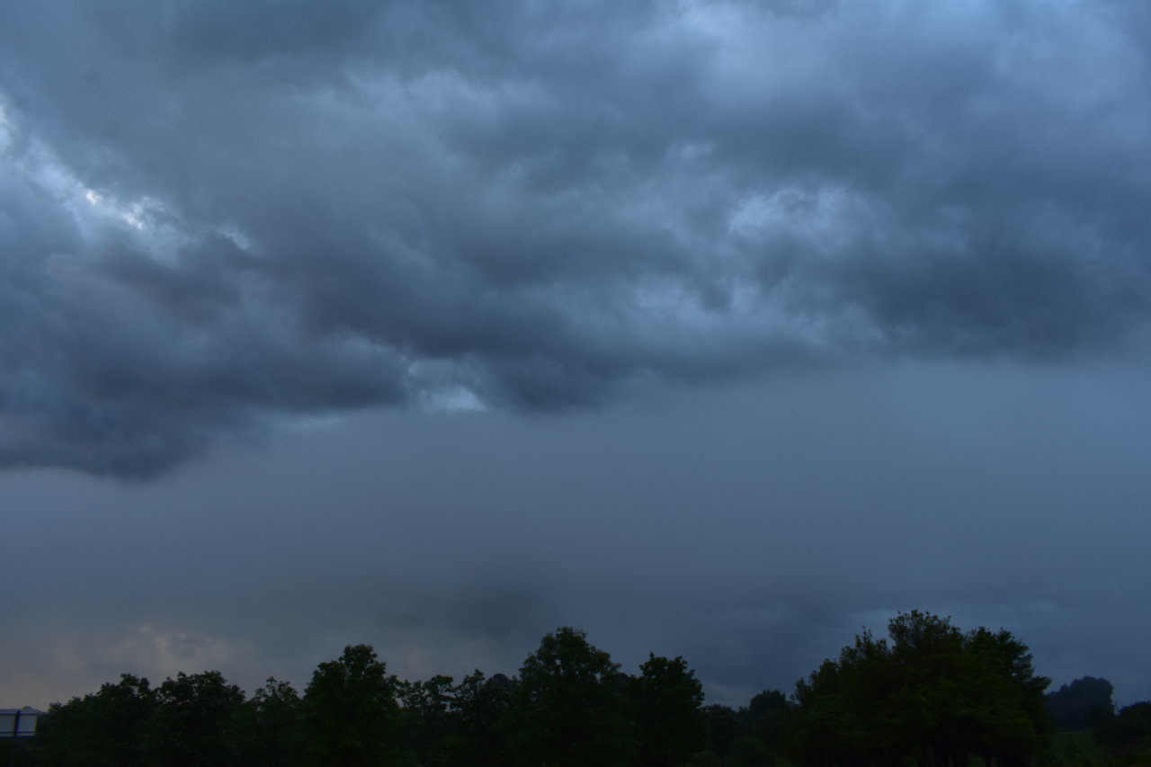 DSC_1571.jpg