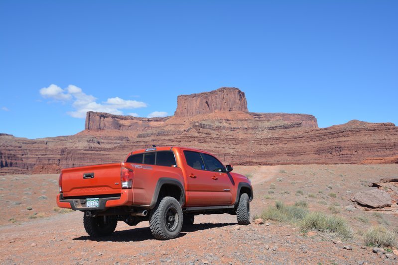 DSC_1597.jpg