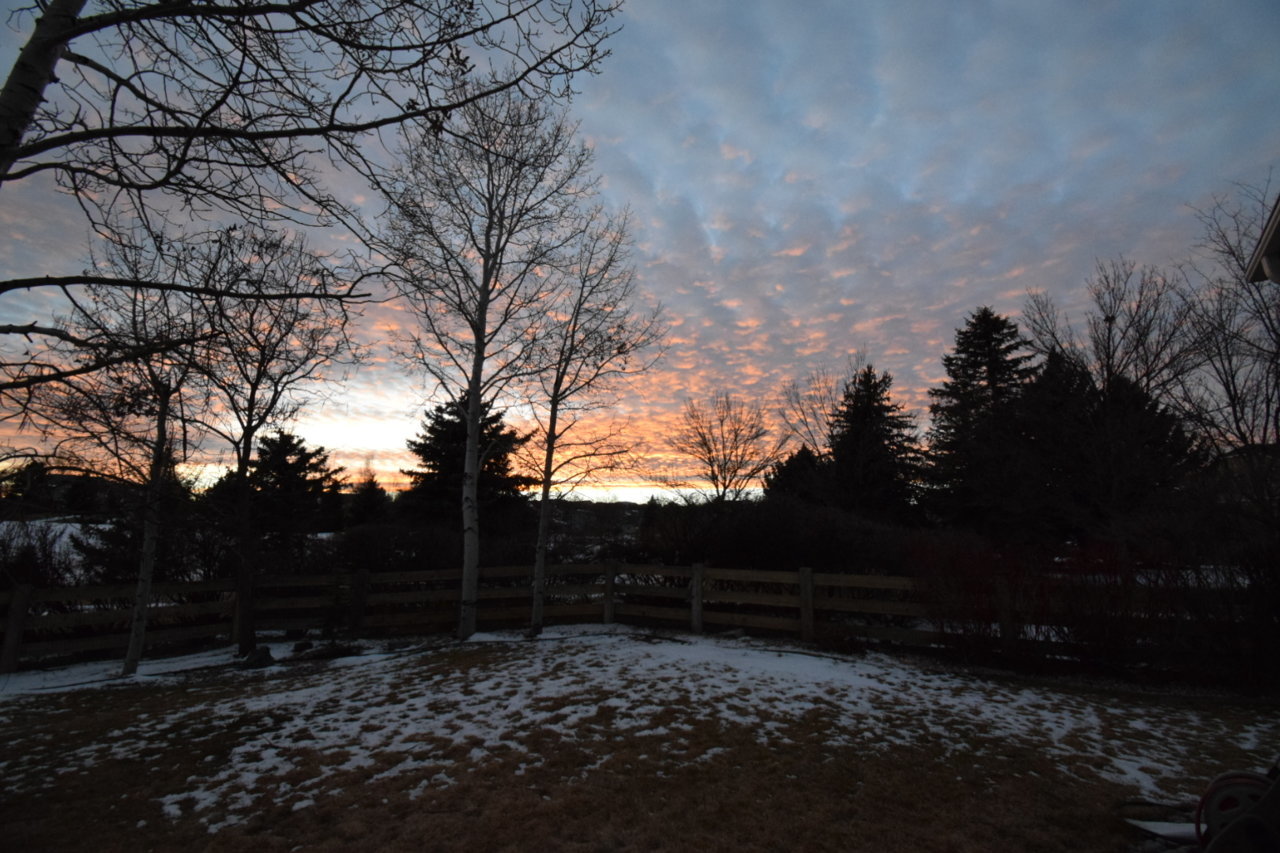 DSC_1702.jpg