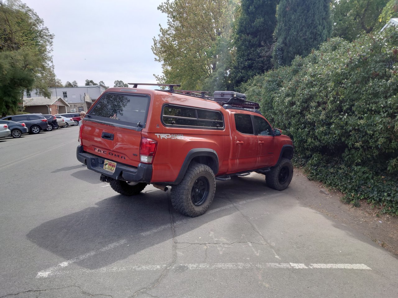 DSC_1762.jpg