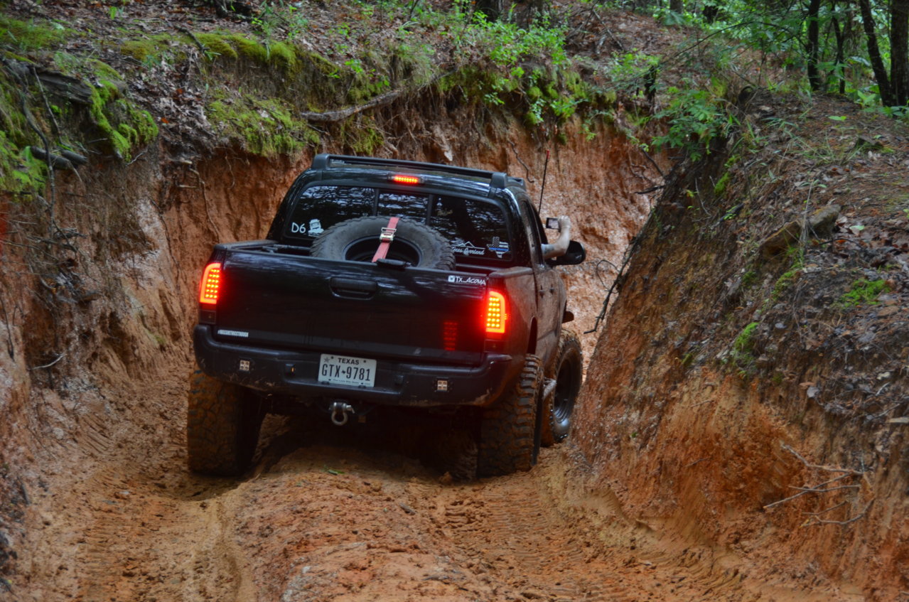 DSC_1838.jpg