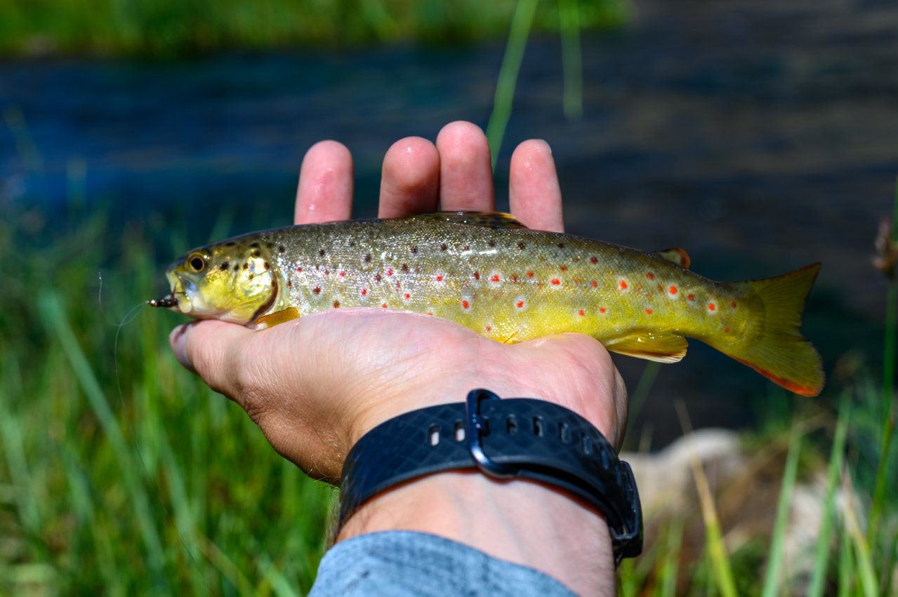 DSC_1839.jpg