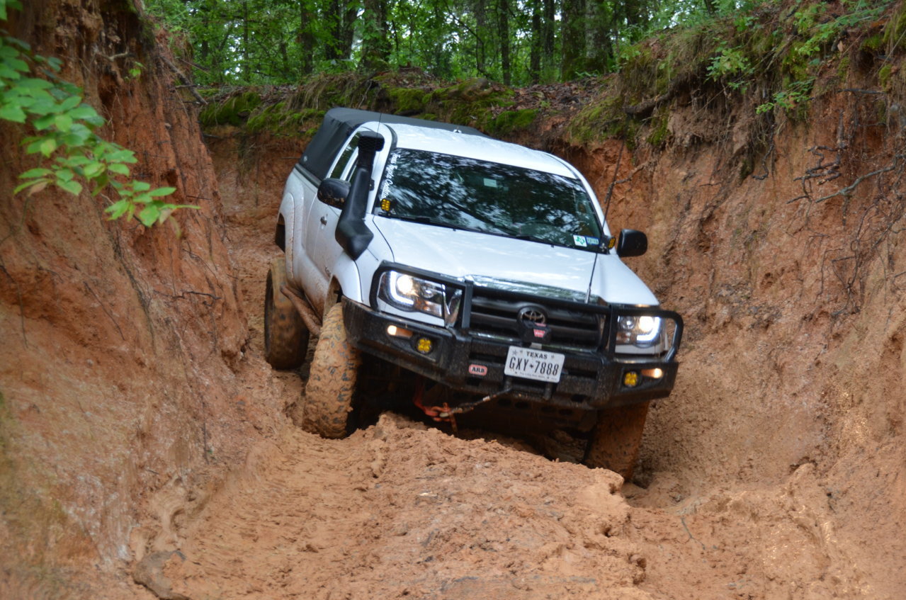 DSC_1842.jpg