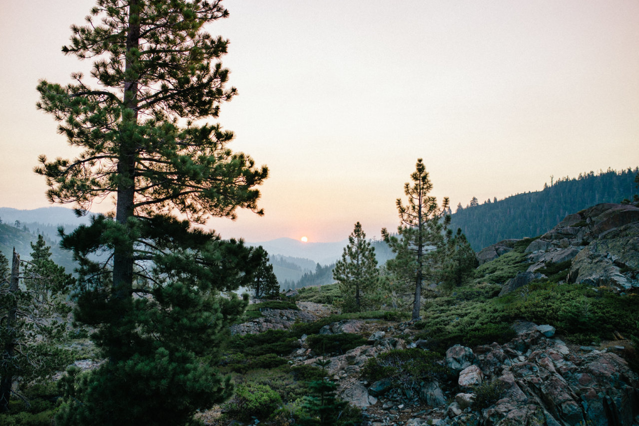 DSC_1855.jpg