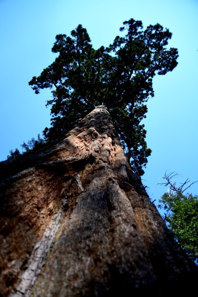 DSC_1921.jpg