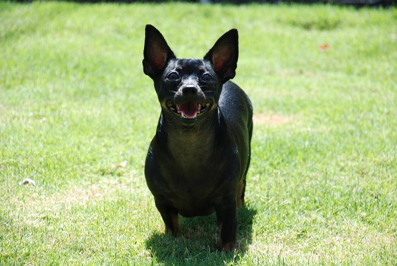 DSC_1944.jpg