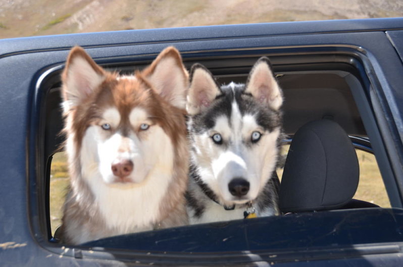 DSC_1992.jpg