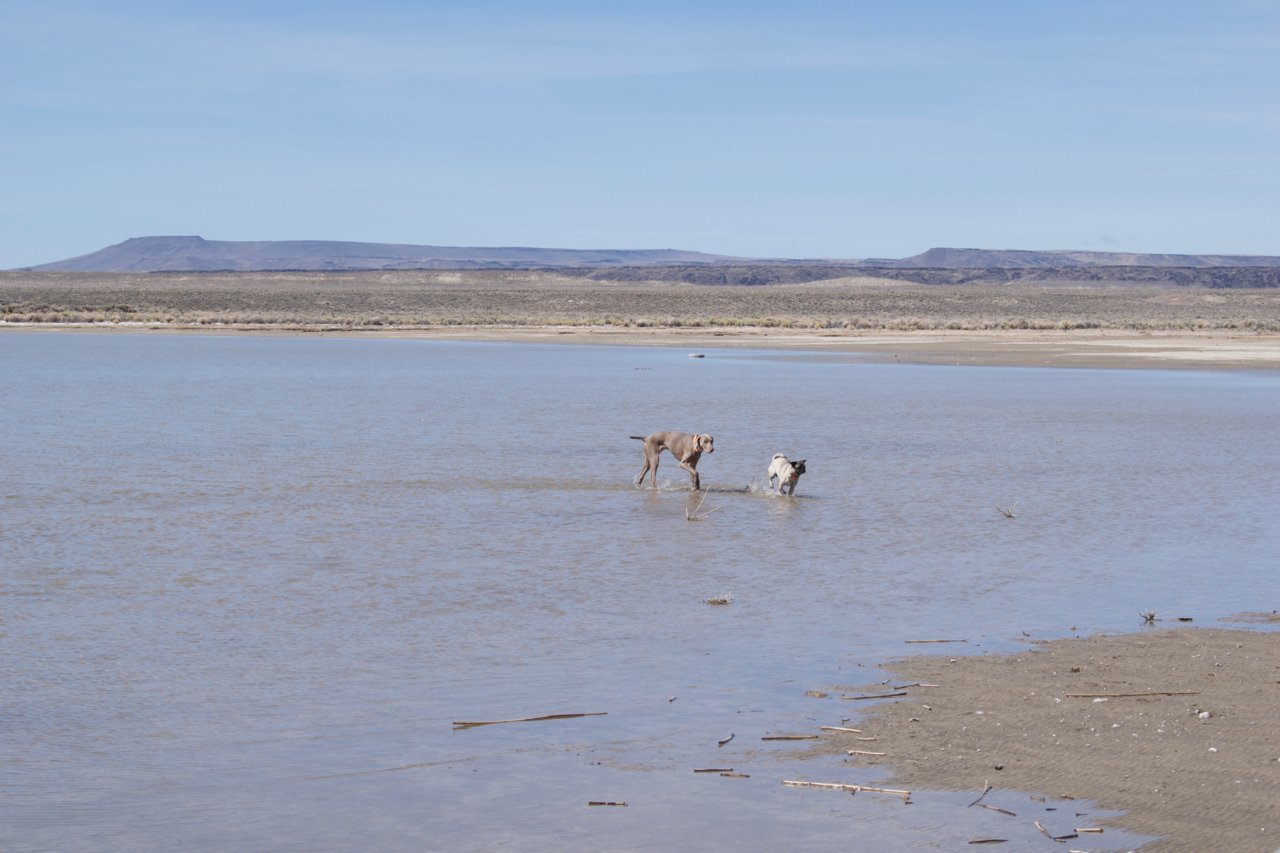 DSC_2069.jpg
