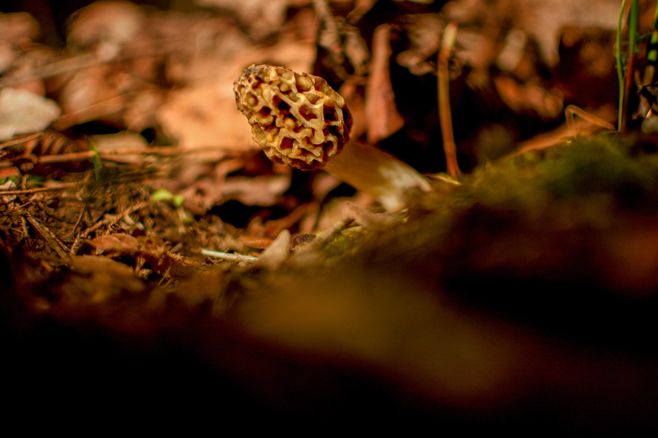 DSC_2152_edit.jpg