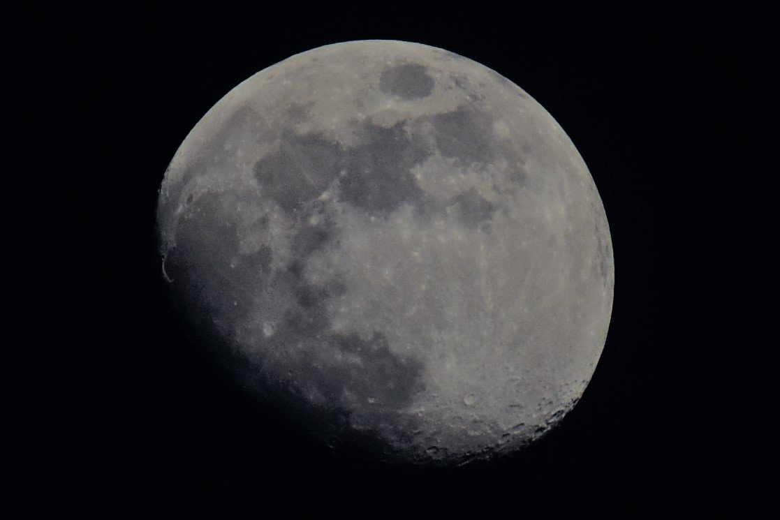 DSC_2221Crop.jpg