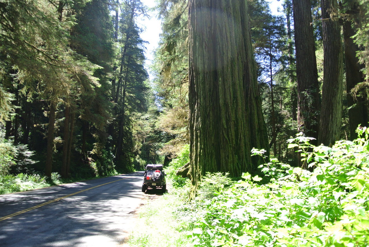 DSC_2249.jpg