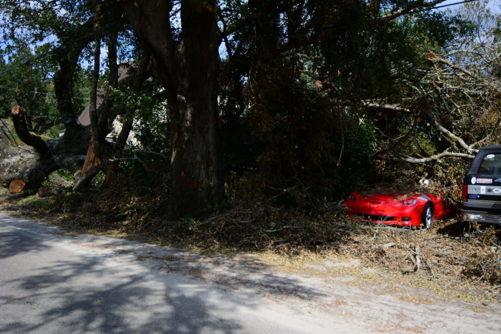 DSC_2501.jpg