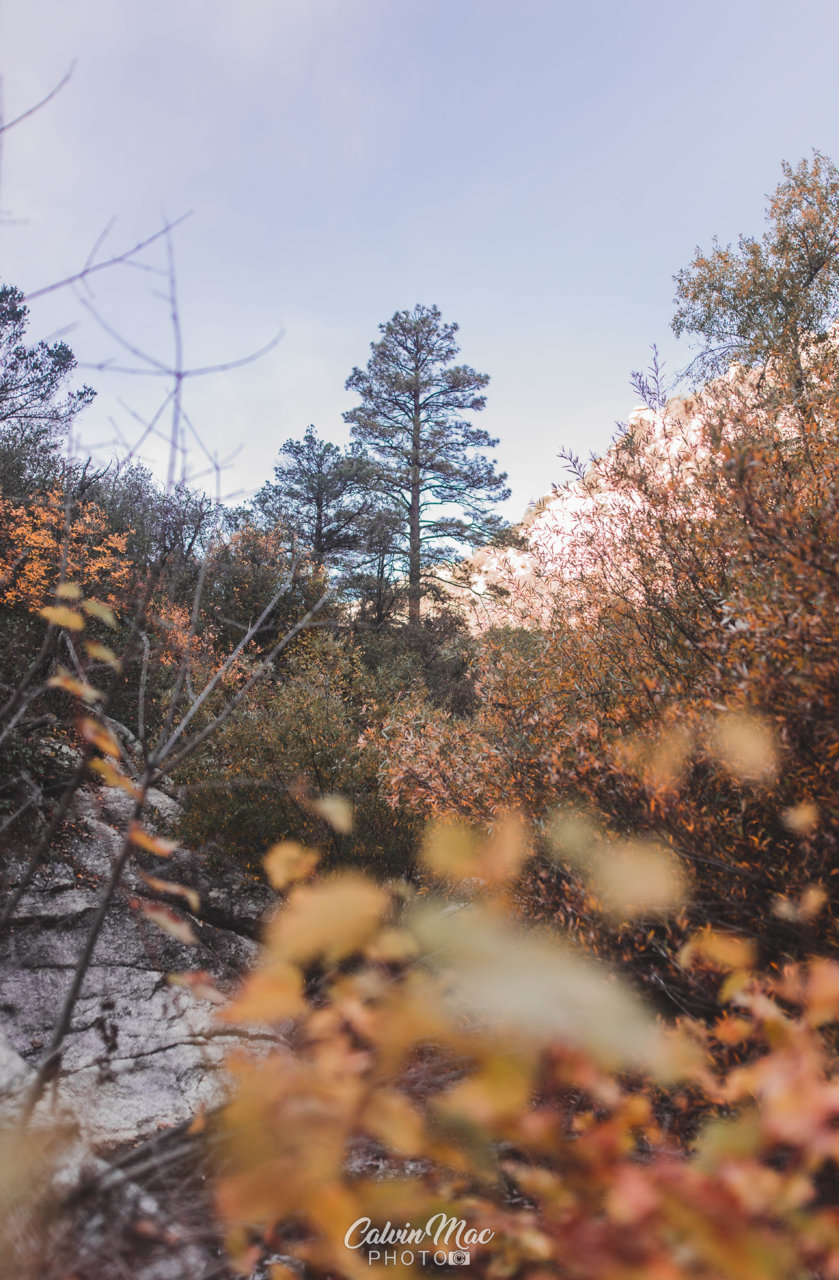 DSC_2554.jpg