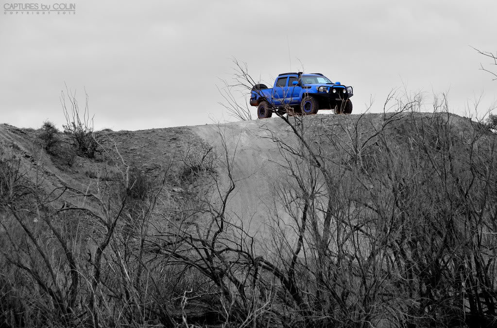 DSC_2931bw_251cee3473f282fb90c81c962f774adb052b929a.jpg