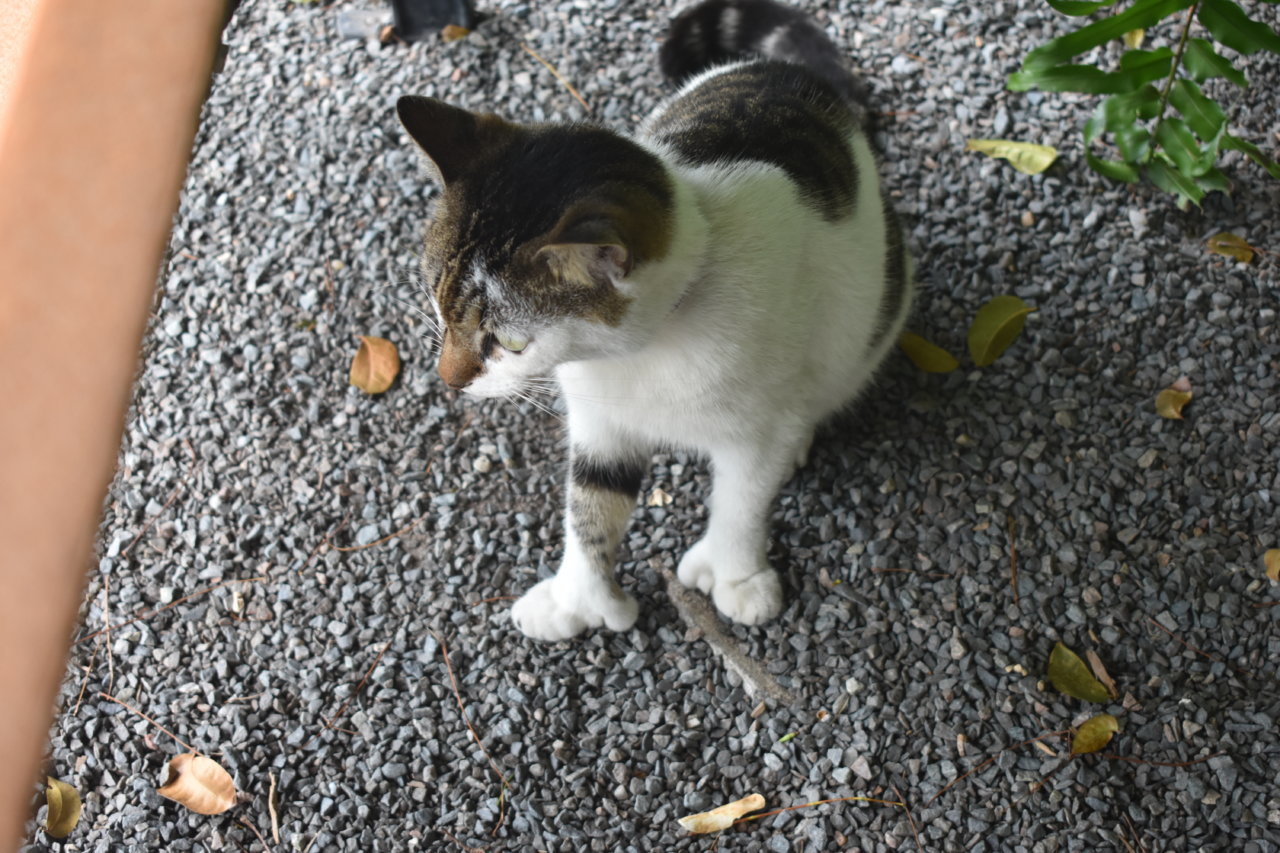DSC_3102.jpg