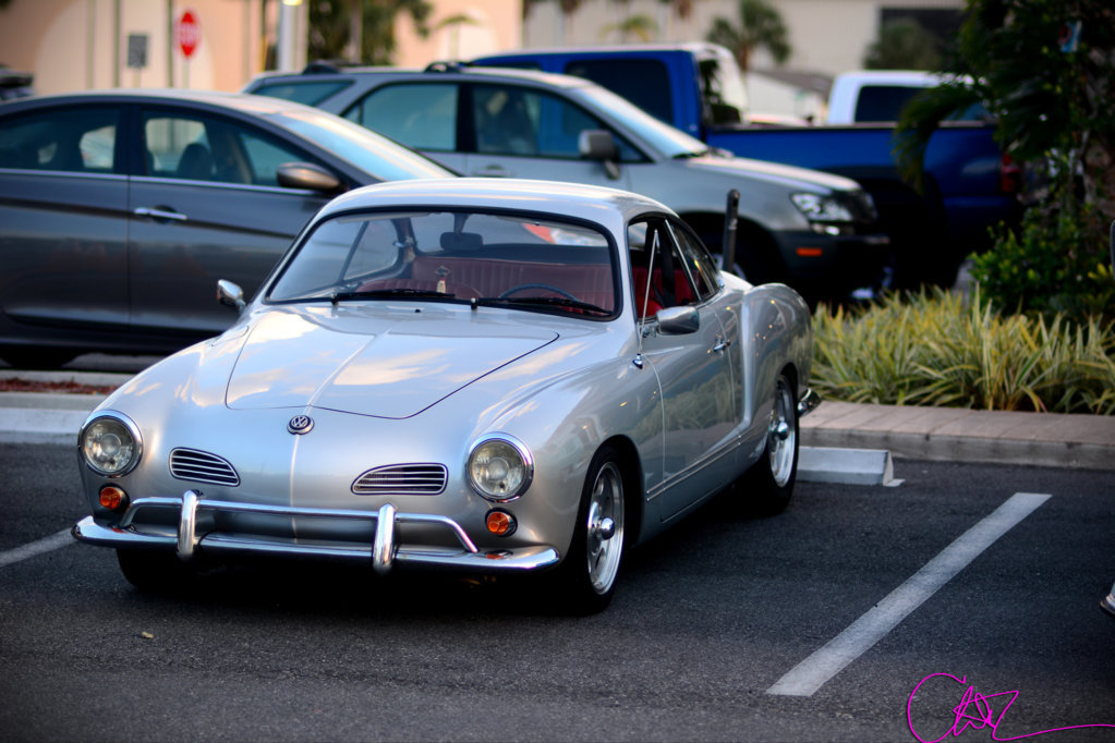 DSC_3111.jpg