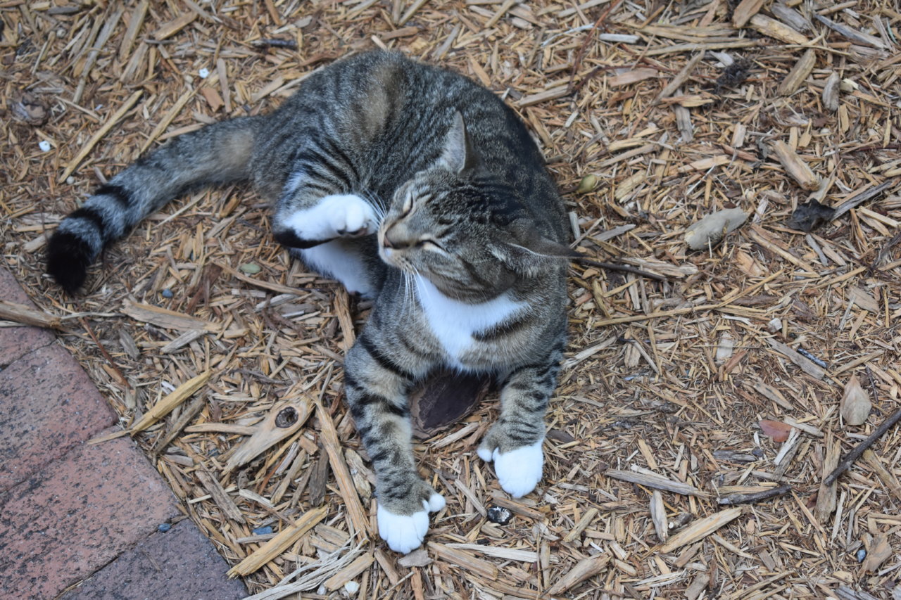 DSC_3114.jpg