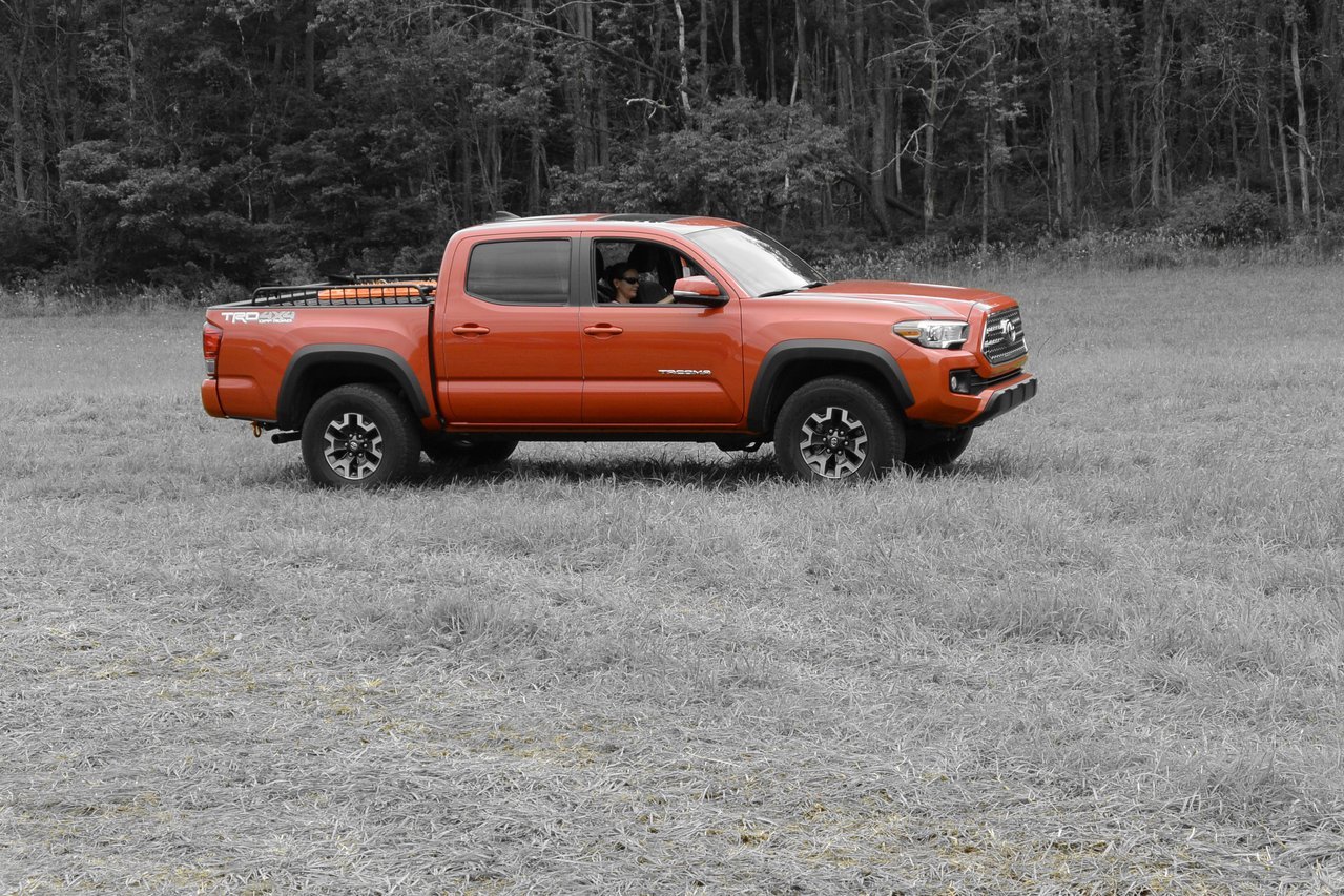 DSC_3135.jpg