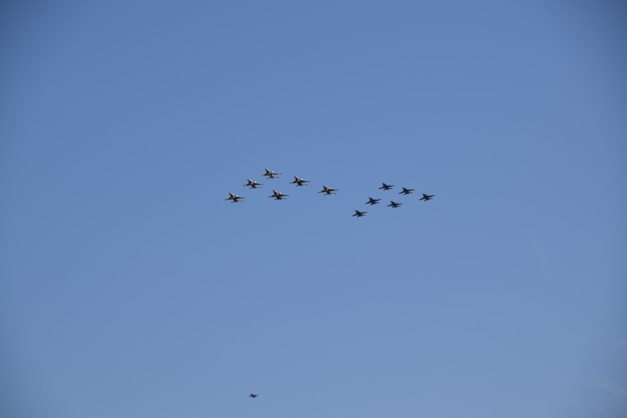 DSC_3391.jpg