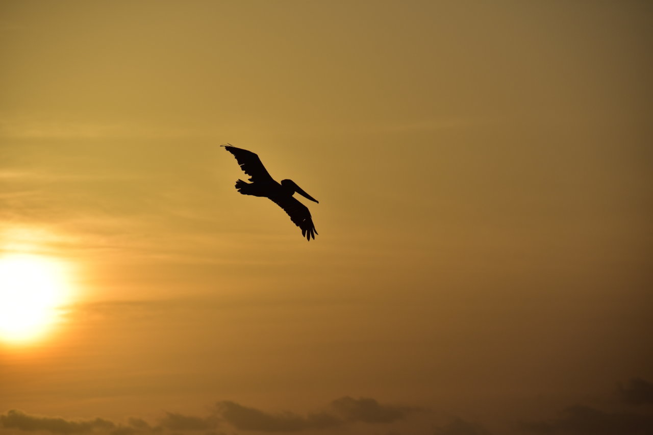 DSC_3470.jpg