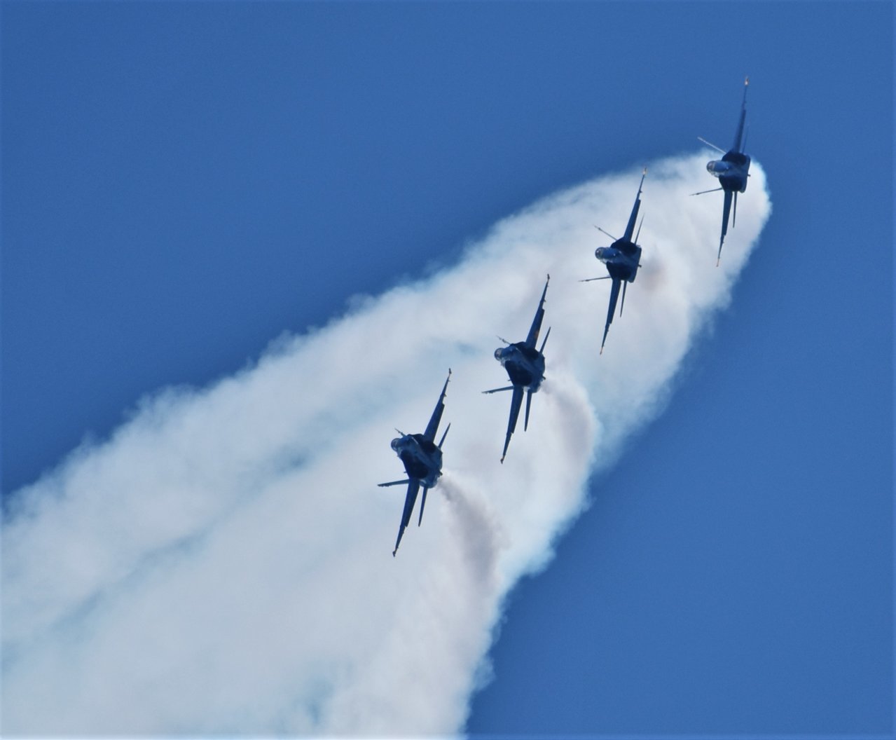 DSC_3480.jpg