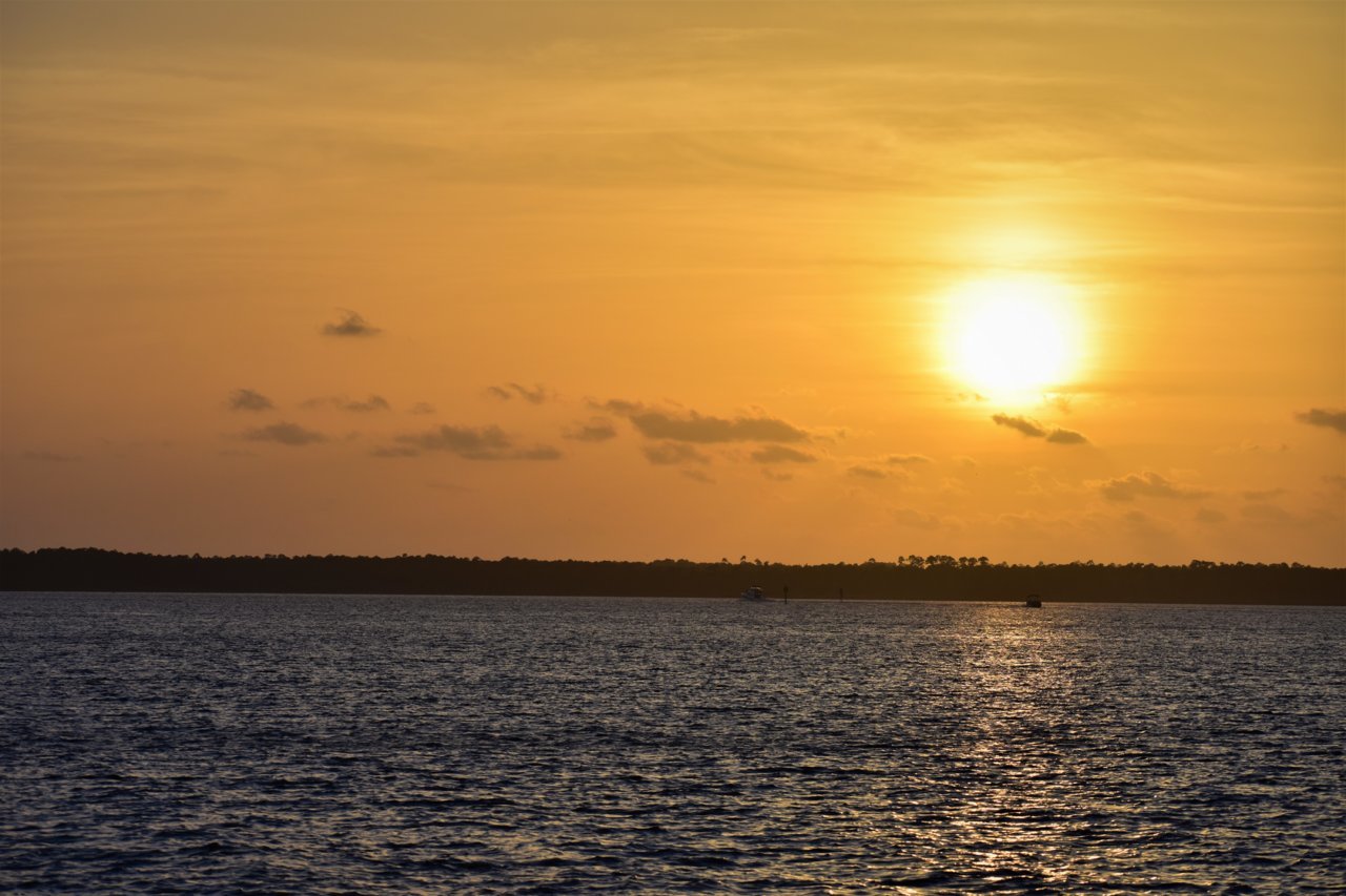 DSC_3495.jpg