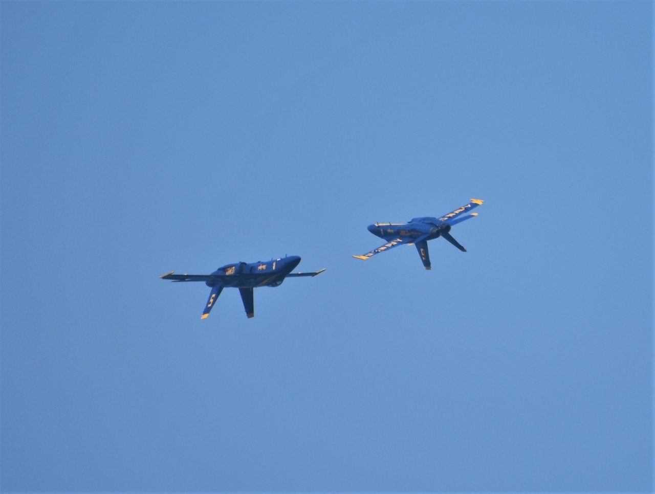 DSC_3505.jpg